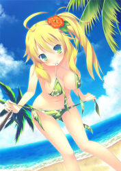 Rule 34 | 1girl, ahoge, alternate hairstyle, beach, bent over, bikini, blonde hair, blush, breasts, cleavage, cloud, collarbone, day, dutch angle, flower, green bikini, green eyes, groin, hair flower, hair ornament, hibiscus, hitoguchi (hioxhio), hoshii miki, idolmaster, idolmaster (classic), long hair, medium breasts, mouth hold, navel, outdoors, palm tree, side ponytail, sky, smile, solo, swimsuit, tree, untied