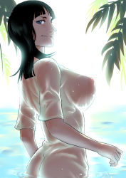 Rule 34 | 1girl, ass, back, beigoma, black hair, blue eyes, breasts, butt crack, looking back, nico robin, nipples, one piece, see-through, smile, solo, swa06084, wading, water, wet, wet clothes