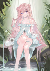 Rule 34 | 1girl, ahoge, bare shoulders, blush, breasts, cat, choker, cleavage, collarbone, double bun, dress, frilled dress, frills, hair bun, halter dress, halterneck, hand on animal, hand up, highres, long hair, looking at viewer, multiple cats, nature, navel, no panties, original, pink hair, plant, playing with own hair, purple eyes, ripples, sidelocks, small breasts, soaking feet, solo, thigh strap, vegetation, very long hair, water, wet, white choker, white dress, wrist cuffs, xiao lin jiu