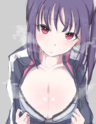 Rule 34 | 1girl, artist request, blue bra, blush, bra, breasts, cleavage, collarbone, kazuno sarah, large breasts, long hair, looking at viewer, love live!, love live! sunshine!!, pink eyes, purple hair, side ponytail, simple background, solo, sportswear, sweat, tagme, underwear, undressing