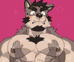 Rule 34 | 1boy, abs, animal ears, animated, animated gif, bara, blush, bouncing pecs, brown fur, chest hair, chest tuft, disembodied hand, dog boy, dog ears, ear down, facial hair, furry, furry male, goatee, groping, huge eyebrows, large pectorals, lveink, male focus, mature male, muscular, muscular male, mutton chops, nipples, nude, original, pectorals, short hair, squeans, solo focus, tusks, two-tone fur, upper body, waking up