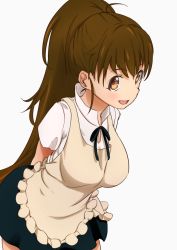 Rule 34 | 1girl, apron, bad id, bad pixiv id, brown eyes, brown hair, highres, long hair, ponytail, re:re:re:, simple background, solo, taneshima popura, waitress, working!!
