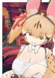 Rule 34 | animal costume, animal ear fluff, animal ears, cat ears, cat girl, cat tail, highres, kemono friends, kemono friends v project, large-spotted genet (kemono friends), long hair, ribbon, tail, twintails, virtual youtuber