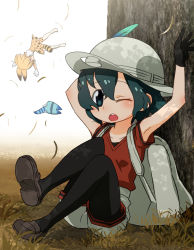 Rule 34 | 10s, 2girls, ;o, animal ears, arms up, backpack, bag, black gloves, black legwear, blue eyes, blue hair, commentary request, gloves, grass, hair between eyes, hat, hat feather, highres, kaban (kemono friends), kemono friends, lucky beast (kemono friends), multiple girls, one eye closed, outdoors, pantyhose, pantyhose under shorts, red shirt, sat-c, serval (kemono friends), serval tail, shirt, shoes, short hair, shorts, sitting, tail, upside-down, white shorts, wind