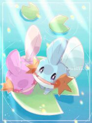 Rule 34 | alternate color, animal focus, border, closed eyes, closed mouth, commentary request, creatures (company), fins, from above, game freak, gen 3 pokemon, hanabusaoekaki, highres, lily pad, mudkip, nintendo, no humans, open mouth, pokemon, pokemon (creature), ripples, shiny and normal, shiny pokemon, smile, solid oval eyes, water, white border