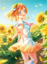Rule 34 | 1girl, a song for you! you? you!, artist name, artist request, bare legs, belt, blue eyes, blue sky, blush, breasts, cloud, female focus, flower, hair between eyes, hair flower, hair ornament, highres, hoshisakura (starblossom), kosaka honoka, looking at viewer, love live!, love live! school idol project, neckerchief, orange hair, outdoors, parted lips, pink neckerchief, reaching, reaching towards viewer, sailor collar, shirt, side ponytail, skirt, sky, small breasts, smile, solo, sunflower, white belt, white legwear, white shirt, white skirt