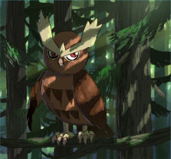 Rule 34 | beak, bird, closed mouth, commentary request, creatures (company), day, forest, game freak, gen 2 pokemon, illustration room nagi, nature, nintendo, noctowl, outdoors, owl, pokemon, pokemon (creature), red eyes, solo, standing, talons, tree