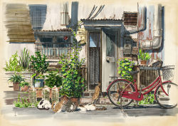 Rule 34 | air conditioner, bamboo screen, bead curtain, bicycle, bicycle basket, bottle, building, calico, cat, cityscape, commentary request, corrugated galvanized iron sheet, door, electricity meter, flower pot, industrial pipe, no humans, open door, original, outdoors, photoshop (medium), plant, potted plant, road, rust, scenery, water bottle, wind chime, window, yokoya