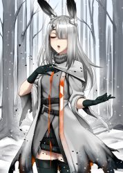 Rule 34 | 1girl, animal ear fluff, animal ears, arknights, bare tree, belt, black gloves, black thighhighs, capelet, coat, commentary, cowboy shot, english commentary, forest, frostnova (arknights), gloves, grey coat, grey hair, hair ornament, hair over one eye, hairclip, hand on own chest, long hair, nature, open mouth, rabbit ears, snow, snowing, solo, thighhighs, tree, turtleneck, twrlare, zettai ryouiki