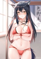 Rule 34 | 1girl, absurdres, animal ears, arknights, arm under breasts, bikini, black hair, blush, breasts, cleavage, collarbone, cowboy shot, front-tie bikini top, front-tie top, gluteal fold, groin, highres, indoors, large breasts, light rays, long hair, looking at viewer, multicolored hair, navel, nervous smile, qyan, red bikini, red hair, smile, solo, streaked hair, swimsuit, tail, texas (arknights), thighs, two-tone hair, wolf ears, wolf girl, wolf tail, yellow eyes