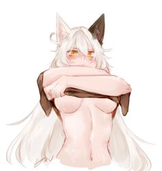 Rule 34 | 1girl, animal ears, black shirt, blush, breasts, cat ears, closed mouth, clothes lift, cloud ya, commentary, english commentary, facing viewer, highres, honkai (series), honkai impact 3rd, kiana kaslana, kiana kaslana (herrscher of the void), large breasts, long hair, looking at viewer, medium breasts, messy hair, navel, shirt, shirt lift, simple background, solo, sweat, underboob, upper body, white hair, yellow eyes