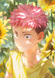 Rule 34 | 1boy, aged down, beitemian, brown eyes, brown hair, child, close-up, facial mark, floral background, flower, highres, itadori yuuji, jujutsu kaisen, light smile, looking to the side, male focus, pink hair, shadow, short hair, smile, solo, spiked hair, sunflower, sunlight, undercut, upper body
