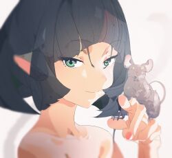 1girl absurdres animal_ears black_hair blunt_bangs closed_mouth fingernails green_eyes hashtag-only_commentary highres jane_doe_(zenless_zone_zero) looking_at_viewer lq9140 mouse_(animal) mouse_ears mouse_girl portrait sidelocks simple_background smile solo zenless_zone_zero