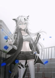 Rule 34 | 1girl, animal ear fluff, animal ears, arknights, bandeau, black jacket, black nails, black shorts, blue eyes, blue flower, blue rose, breasts, building, chihuri, closed mouth, day, elbow gloves, feet out of frame, fingerless gloves, flower, gloves, grey gloves, grey hair, hair between eyes, hair ornament, hairclip, highres, jacket, lappland (arknights), long sleeves, looking at viewer, material growth, nail polish, navel, open clothes, open jacket, oripathy lesion (arknights), outdoors, railing, rose, scar, scar across eye, scar on face, short shorts, shorts, small breasts, smile, solo, stairs, standing, strapless, tail, wide sleeves, window