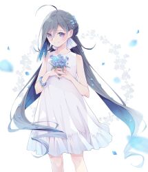 Rule 34 | 1girl, ahoge, blue eyes, blue flower, closed mouth, colis, dress, feet out of frame, flower, grey hair, holding, holding flower, kantai collection, kiyoshimo (kancolle), long hair, low twintails, smile, solo, twintails, white dress