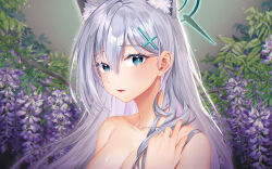 Rule 34 | 1girl, aesice, animal ear fluff, animal ears, aqua eyes, blue archive, blush, breasts, cleavage, collarbone, completely nude, cross hair ornament, flower, grey hair, hair between eyes, hair ornament, halo, highres, large breasts, long hair, looking at viewer, mismatched pupils, nude, purple flower, shiroko (blue archive), shiroko terror (blue archive), sideways glance, solo, straight hair, upper body, very long hair, wisteria, wolf ears