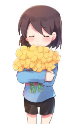 Rule 34 | 1girl, black shorts, blue sweater, brown hair, closed eyes, flower, frisk (undertale), highres, holding, holding flower, hugging object, long sleeves, short hair, short shorts, shorts, simple background, striped clothes, striped sweater, sweater, undertale, white background, xox xxxxxx, yellow flower