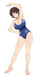 Rule 34 | 1girl, armpits, blush, breasts, brown eyes, brown hair, cleavage, closed mouth, competition school swimsuit, exercising, highres, huge breasts, idolmaster, idolmaster cinderella girls, kagemusha, looking at viewer, oikawa shizuku, one-piece swimsuit, one eye closed, school swimsuit, shiny skin, short hair, smile, swimsuit