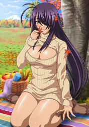 Rule 34 | 1girl, alternate costume, autumn, autumn leaves, brown footwear, cleavage cutout, closed mouth, clothing cutout, day, dress, grey eyes, hair over one eye, holding, holding leaf, ikkitousen, kan&#039;u unchou, leaf, long hair, long sleeves, looking at viewer, maple leaf, meme attire, outdoors, purple hair, ribbed sweater, shiny skin, sitting, sleeves past wrists, smile, solo, sweater, sweater dress, tree, very long hair, virgin killer sweater, wariza, white sweater