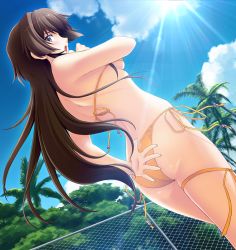 Rule 34 | 1girl, artist request, ass, bikini, blue sky, blush, breasts, brown hair, chain-link fence, covering privates, covering ass, day, dutch angle, fence, highres, leg ribbon, lens flare, long hair, medium breasts, muv-luv, muv-luv alternative, muv-luv total eclipse, open mouth, palm tree, purple eyes, ribbon, scan, side-tie bikini bottom, sideboob, sky, solo, string bikini, sun, sunlight, swimsuit, takamura yui, thigh ribbon, tree, very long hair, yellow bikini