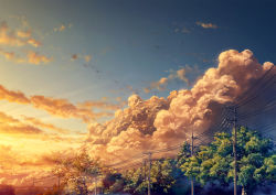 Rule 34 | blue sky, cable, cloud, no humans, original, outdoors, scenery, sky, summer, sunset, tree, utility pole, yuu knmy