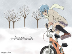 Rule 34 | ayanami rei, bicycle, blue hair, coat, neon genesis evangelion, overcoat, red eyes, scarf, winter