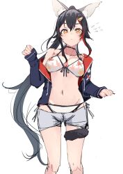 Rule 34 | 1girl, absurdres, animal ear fluff, animal ears, bikini, black hair, breasts, cowboy shot, front-tie bikini top, front-tie top, hair ornament, highres, hololive, jacket, large breasts, long hair, long sleeves, looking at viewer, multicolored hair, navel, off shoulder, ogura tubuan, ookami mio, ookami mio (hololive summer 2019), red hair, short shorts, shorts, side-tie bikini bottom, simple background, sketch, solo, standing, streaked hair, swimsuit, tail, tail around own leg, very long hair, virtual youtuber, white background, white bikini, wolf ears, wolf girl, wolf tail