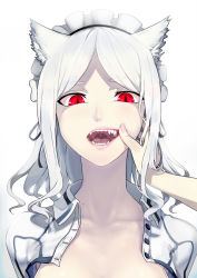 Rule 34 | 1girl, albino, animal ears, collarbone, commentary request, fangs, female focus, fingernails, highres, lips, maid headdress, medium hair, mole, mole on body, mouth pull, open clothes, open mouth, original, out of frame, pale skin, parted bangs, pov, pov hands, red eyes, ribbon, sharp teeth, shiny skin, short eyebrows, sidelocks, simple background, slit pupils, solo focus, teeth, tongue, upper body, uvula, walzrj, wendy (walzrj), white background, white hair, wolf ears