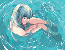 Rule 34 | 1girl, artist name, bad id, bad pixiv id, from above, hatsune miku, long hair, nude, partially submerged, solo, sora (keyue), very long hair, vocaloid, water