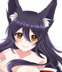 Rule 34 | 1girl, ahri (league of legends), animal ears, bare shoulders, black hair, blush, breasts, cleavage, detached sleeves, facial mark, fox ears, korean clothes, large breasts, league of legends, light smile, lips, long hair, looking at viewer, mint mia, simple background, solo, whisker markings, white background, yellow eyes