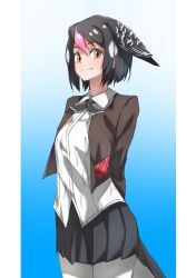Rule 34 | 1girl, absurdres, arms behind back, bird girl, bird tail, bird wings, black hair, black neckwear, black skirt, brown jacket, collared shirt, commentary request, cowboy shot, greater honeyguide (kemono friends), hair between eyes, head wings, highres, jacket, kemono friends, looking at viewer, multicolored hair, open clothes, open jacket, panties, pink hair, pleated skirt, shirt, short hair, skirt, smile, solo, tail, tanabe (fueisei), underwear, white hair, white legwear, white shirt, wings, yellow eyes