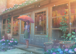 Rule 34 | 1girl, bad id, bad pixiv id, blue flower, blue jacket, boots, brown hair, bubble, commentary request, flower, flower request, green skirt, holding, holding umbrella, hydrangea, jacket, kaitan, knee boots, looking at viewer, open clothes, open jacket, original, outdoors, pink flower, plant, ponytail, pot, potted plant, puddle, red umbrella, rubber boots, scenery, shirt, signature, skirt, solo, standing, umbrella, white shirt