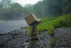 Rule 34 | arielle nadel, azuma kiyohiko, box, cardboard box, danboo, figure, full body, minimized, no humans, outdoors, outstretched arm, photo (medium), road, source request, standing, switch, toy, wallpaper, water, wet, yotsubato!