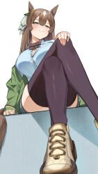 Rule 34 | 1girl, alternate costume, amepa (ame pinecandy), animal ears, black thighhighs, blue shirt, blush, bow, breasts, brown hair, button gap, closed mouth, commentary request, crossed legs, ear ribbon, from below, highres, horse ears, horse girl, horse tail, large breasts, long hair, looking at viewer, satono diamond (umamusume), shirt, shoes, simple background, smile, tail, thighhighs, umamusume, white background, yellow eyes