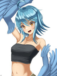 Rule 34 | 1girl, ahoge, bare shoulders, black tube top, blue hair, blue wings, blush, breasts, falr illust, feathered wings, feathers, harpy, highres, medium hair, midriff, monster girl, monster musume no iru nichijou, navel, open mouth, papi (monster musume), simple background, small breasts, solo, strapless, tube top, white background, winged arms, wings, yellow eyes