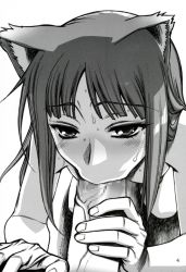 Rule 34 | 1girl, absurdres, animal ears, blush, censored, fellatio, fingernails, highres, holo, long hair, looking at viewer, minazuki juuzou, monochrome, nicomark, nude, oral, penis, simple background, solo focus, spice and wolf, sweat, veins, veiny penis, wolf ears