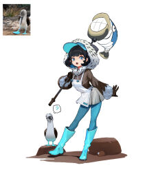 Rule 34 | 1girl, ?, apron, aqua hat, bird, black gloves, black hair, black shirt, blue-footed booby, blue eyes, blue footwear, blue hat, blue pantyhose, chinese commentary, commentary, full body, fur-trimmed hood, fur trim, gloves, grey skirt, hammer, hat, highres, holding, holding hammer, hood, hood up, leaning forward, long sleeves, looking at viewer, ninewood, open mouth, original, pantyhose, personification, photo-referenced, photo inset, puffy long sleeves, puffy sleeves, reference photo, shirt, short hair, skirt, solo, standing, thought bubble, visor cap, white apron, white background
