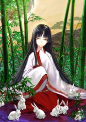 Rule 34 | 1girl, alternate costume, animal, bamboo, bamboo forest, black hair, brown eyes, chromatic aberration, forest, full moon, houraisan kaguya, japanese clothes, leaf, long hair, long sleeves, looking at viewer, moon, nature, rabbit, shirt, sitting, skirt, smile, solo, sw (2311550438), too many, too many rabbits, touhou, very long hair, wide sleeves