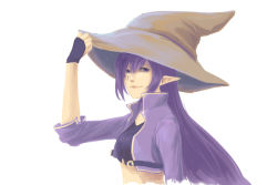 Rule 34 | 1girl, aerlai, borrowed character, crop top, cropped jacket, facial tattoo, fingerless gloves, gloves, hat, kaleina (ricegnat), long hair, original, pointy ears, purple eyes, purple hair, smile, solo, tattoo, witch hat