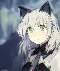 Rule 34 | 1girl, :o, aged up, animal ears, bad id, bad twitter id, blush, cat ears, green eyes, grey necktie, long hair, military, military uniform, necktie, ohashi (hashidate), open mouth, sanya v. litvyak, silver hair, solo, strike witches, uniform, upper body, world witches series