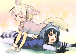 Rule 34 | 10s, 2girls, all fours, animal ears, bent over, blush, bow, bowtie, collared shirt, common raccoon (kemono friends), fang, fennec (kemono friends), fox ears, fox tail, fur collar, gloves, gradient hair, half-closed eyes, kemono friends, lying, multicolored hair, multiple girls, on stomach, open mouth, pantyhose, pleated skirt, puffy short sleeves, puffy sleeves, raccoon ears, raccoon tail, shirt, short-sleeved sweater, short hair, short sleeves, skirt, smile, sweater, sweater vest, tail, toryo, two-tone hair