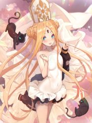 Rule 34 | 1girl, abigail williams (fate), abigail williams (swimsuit foreigner) (fate), abigail williams (swimsuit foreigner) (second ascension) (fate), bare shoulders, black bow, black cat, black jacket, blonde hair, blue eyes, blush, bow, braid, braided bun, breasts, cat, double bun, dress swimsuit, fate/grand order, fate (series), forehead, hair bun, hat, highres, jacket, keyhole, long hair, looking at viewer, mitre, multiple bows, off shoulder, one-piece swimsuit, open clothes, open jacket, open mouth, orange bow, parted bangs, sidelocks, small breasts, smile, swimsuit, twintails, untue, very long hair, white headwear, white one-piece swimsuit