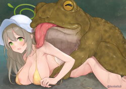 Rule 34 | 1boy, 1girl, animal, animal on back, artist name, bare arms, bestiality, bikini, blue archive, blush, breast press, breasts, collarbone, confused, covered erect nipples, dot nose, embarrassed, eyebrows, eyelashes, feet out of frame, frog, from side, green eyes, green halo, halo, hands on another&#039;s stomach, hetero, highres, horizontal pupils, imminent penetration, imminent rape, kunka smellher, large breasts, licking shoulder, light brown hair, long hair, looking afar, lying, monster, navel, nonomi (blue archive), on stomach, open mouth, saliva, scared, swimsuit, tongue, tongue out, untied bikini, yellow bikini, yellow eyes