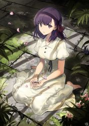 Rule 34 | 1girl, bare arms, barefoot, black ribbon, breasts, buttons, collared dress, commentary request, dress, fate/stay night, fate (series), full body, grass, hair ribbon, heaven&#039;s feel, indoors, long hair, looking at viewer, matou sakura, medium breasts, nagu, official alternate costume, parted lips, plant, puffy short sleeves, puffy sleeves, purple eyes, purple hair, red ribbon, ribbon, short sleeves, sitting, solo, wariza, white dress