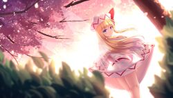 Rule 34 | 1girl, blonde hair, blue eyes, blush, cherry blossoms, closed mouth, clothes lift, dress, dress lift, fairy, fairy wings, feet out of frame, hat, highres, lifted by self, lily white, long hair, long sleeves, looking at viewer, looking back, lzh, solo, touhou, white dress, white hat, wings