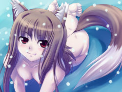 Rule 34 | 00s, 1girl, animal ears, barefoot, breasts, brown hair, fang, feet, female focus, fujirin, grass, holo, long hair, nipples, nude, outdoors, red eyes, snow, soles, solo, spice and wolf, tail, toes, wolf ears, wolf tail, zenra