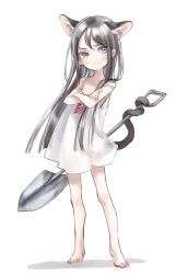 Rule 34 | 1girl, animal ears, barefoot, blue eyes, blush, cat ears, cat tail, child, crossed arms, dress, feet, female focus, full body, highres, holding, holding with tail, long arms, looking at viewer, nenena, original, prehensile tail, shadow, shovel, silver hair, solo, standing, tail, toes, white dress