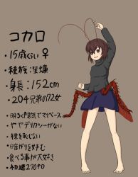 Rule 34 | 1girl, antennae, arisawa yutaka, arthropod girl, bare legs, barefoot, brown eyes, brown hair, bug, character profile, cocaro, cockroach, female focus, insect, original, personification, simple background, solo, translated, wings