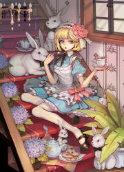 Rule 34 | 10s, 1girl, 2011, alice (alice in wonderland), alice in wonderland, blonde hair, blue eyes, bow, bowtie, chandelier, cookie, food, hairband, highres, holding, holding spoon, lolita hairband, mary janes, open mouth, original, plant, potted plant, rabbit, racoona, ribbon, shoes, short hair, sitting, sitting on stairs, solo, spoon, stairs, sugar cube, tea, thighhighs, white thighhighs, window