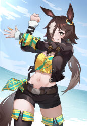 Rule 34 | 1girl, absurdres, animal ears, belt, black hair, black jacket, black shorts, blue sky, chinese commentary, cloud, commentary, cowboy shot, crop top, day, grin, highres, horse ears, jacket, long hair, long sleeves, looking at viewer, low ponytail, midriff, navel, open clothes, open jacket, shirt, short shorts, shorts, sky, smile, solo, standing, stomach, thighhighs, thighs, umamusume, very long hair, vodka (umamusume), yellow shirt, yzbr